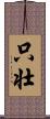 只壮 Scroll