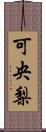 可央梨 Scroll