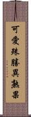 可愛殊勝異熟果 Scroll