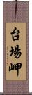 台場岬 Scroll