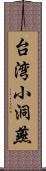 台湾小洞燕 Scroll