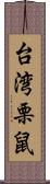 台湾栗鼠 Scroll