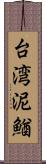 台湾泥鰌 Scroll