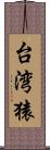 台湾猿 Scroll