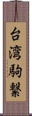 台湾駒繋 Scroll