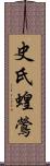 史氏蝗鶯 Scroll