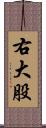 右大股 Scroll