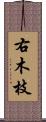 右木枝 Scroll