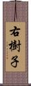 右樹子 Scroll