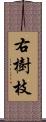 右樹枝 Scroll