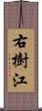 右樹江 Scroll