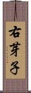 右芽子 Scroll