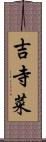 吉寺菜 Scroll