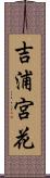 吉浦宮花 Scroll