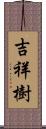 吉祥樹 Scroll