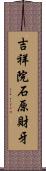 吉祥院石原財牙 Scroll