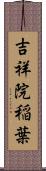 吉祥院稲葉 Scroll