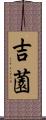 吉薗 Scroll