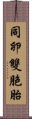 同卵雙胞胎 Scroll