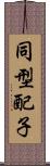 同型配子 Scroll