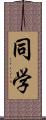 同学 Scroll