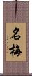 名梅 Scroll