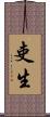 吏生 Scroll