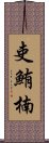 吏鮪楠 Scroll