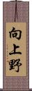 向上野 Scroll