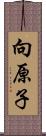 向原子 Scroll