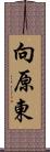 向原東 Scroll