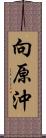 向原沖 Scroll