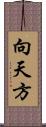 向天方 Scroll