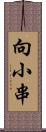 向小串 Scroll