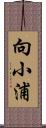 向小浦 Scroll