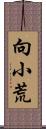 向小荒 Scroll