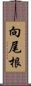 向尾根 Scroll