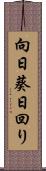 向日葵 Scroll