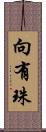 向有珠 Scroll