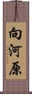 向河原 Scroll