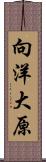 向洋大原 Scroll