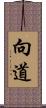 向道 Scroll