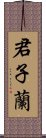 君子蘭 Scroll