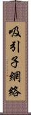 吸引子網絡 Scroll