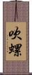 吹螺 Scroll
