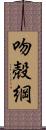 吻殻綱 Scroll