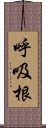 呼吸根 Scroll