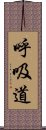 呼吸道 Scroll