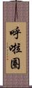 呼啦圈 Scroll