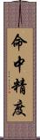 命中精度 Scroll